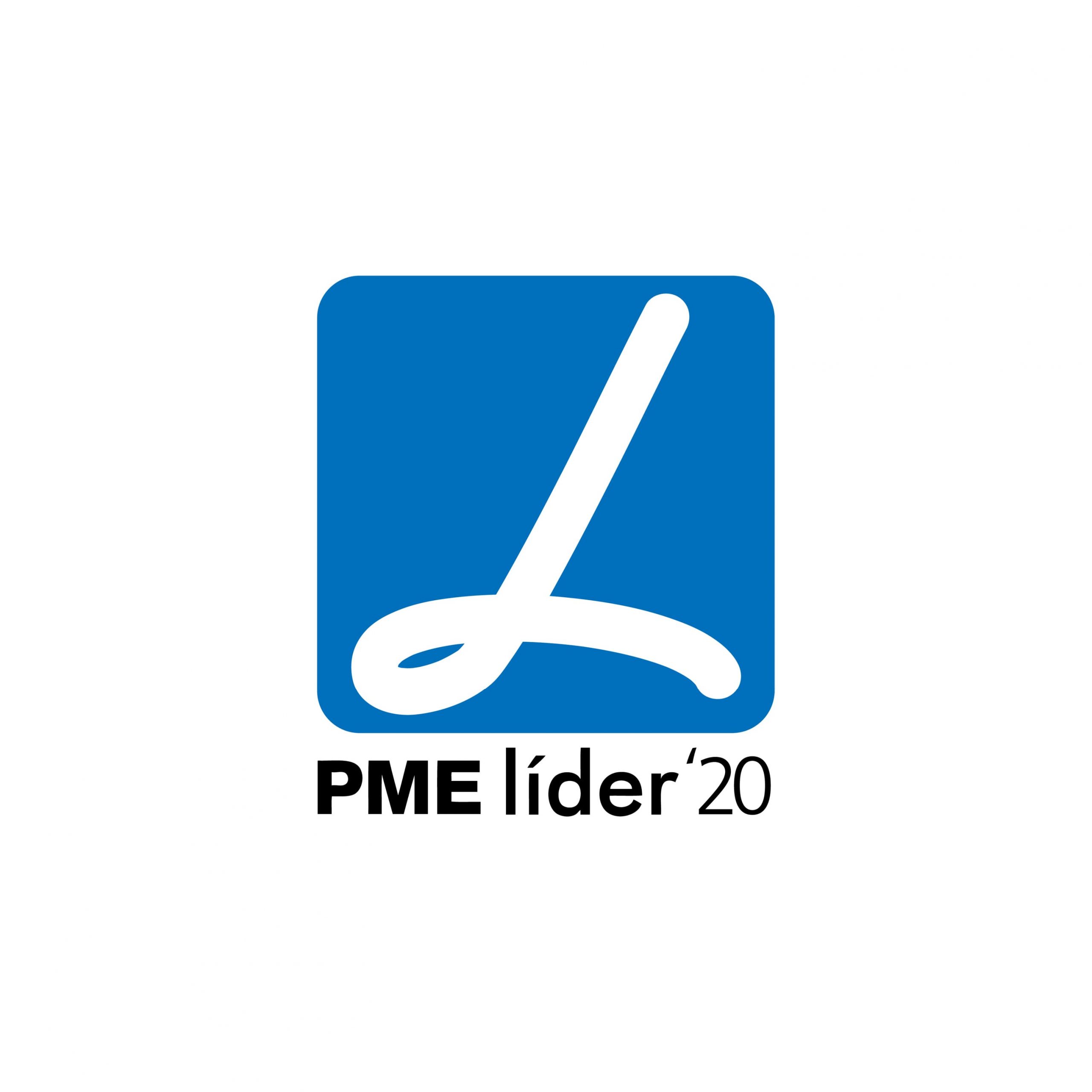 Read more about the article PME Líder 2020